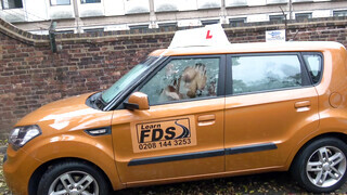Fake Driving School - Louise Lee kedveli a termetes cerkát